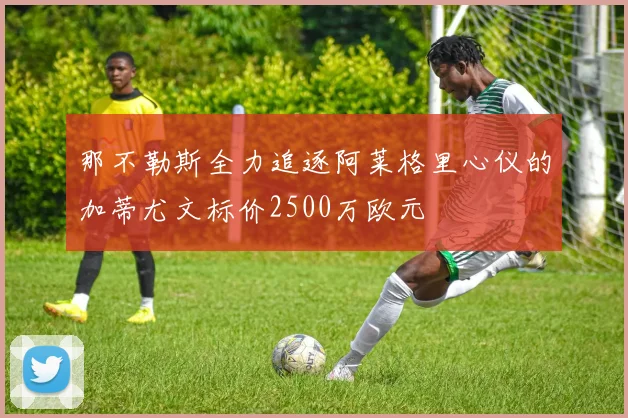 那不勒斯全力追逐阿莱格里心仪的加蒂尤文标价2500万欧元